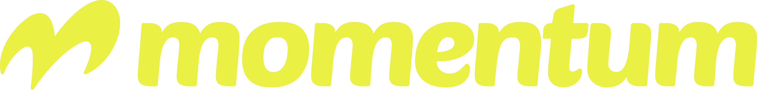 Momentum VZW